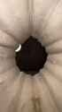 hdo9X5Q_thumb.jpg
