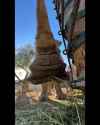 Video-663_thumb.jpg