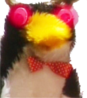 Flibble2