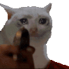 1624639436821