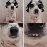 GtMMjVJW4AAiRRj