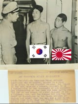 Korean Chad Japanese dwarf
