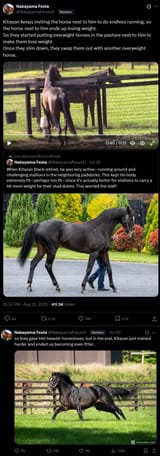 kitasan black IRL