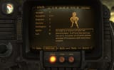 nv