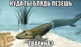 1734247967944989