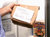 dead dove