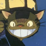 catbus