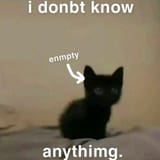 1750562160538313
