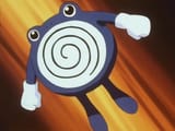 polywhirl