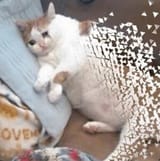 1560587048519