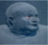 squichneck