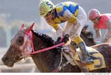Haru-Urara-garners-another-loss-CREDIT-Kyodo-News-Service