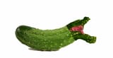 picklejho