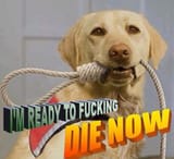 Thread image