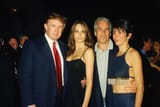 PEDO LOVERS