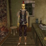 MW-npc-Arrille