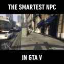 smartest npc in gtav_thumb.jpg