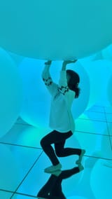 Temmie-Chang-Feet-7822352 (1)