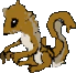 squirrel