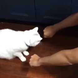 1754819100670937_thumb.jpg