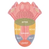 29tongue-mediumSquareAt3X