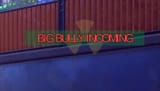 bully