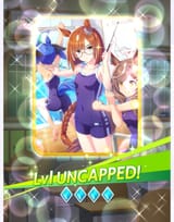 swimsuits