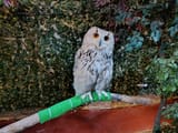 IMG_20240906_120309