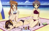 HaruhiLotion