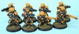 tau-guevesa
