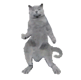 1692118502007346
