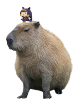 capy friend