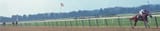 Secretartiat-Belmont-Stakes-Color-Stretch-2048x392[1]