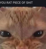 rat piece of shit