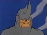 Rhino