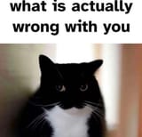 1734723470026825