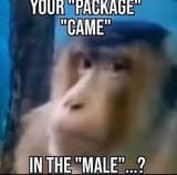 ima