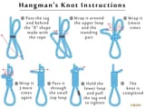 Hangman&#039;s knot