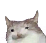 1733873306060520