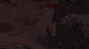 2025-06-01 11-57-06-1_thumb.jpg