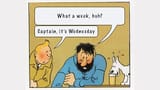 tintin