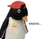 seyora...
