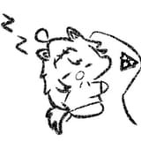 21zz