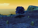 treeee