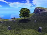 treeeeeeeeeeeeeeee