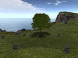 treeeeeeeeeeeeeeeeee