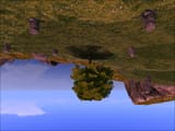 treeeeeeeeeeeeeeeeeeee