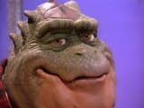 dinoknows