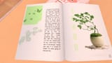 weird book
