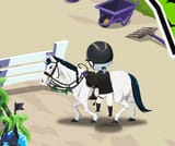 Screenshot_20250610-065730~2
